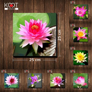 กรอบลอย ติดผนัง ภาพดอกไม้ ดอกบัว (ขนาด 25x25 ซม.)