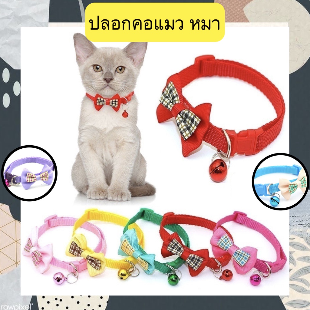 PP-361 ปลอกคอสำหรับแมว สุนัข และสัตว์เลี้ยงอื่นๆ เช่น กระต่าย สีสันสดใส สวยงาม ราคาประหยัด พร้อมส่งทันที ❤️‍🔥❤️‍🔥