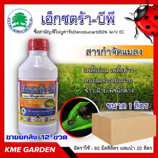 ****ขายยกลัง****🐞แมลง🐞 เอ็กซตร้า-บีพี 1ลิตร ยกลัง12ขวด ฟีโนบูคาร์บ กำจัดเพลี้ยกระโดดสีน้ำตาล เพลี้ยจั้กจั่นปีกลาย เพลี้ย