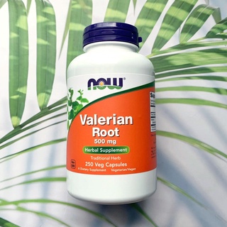 วาเลอเรี่ยน Valerian Root 500 mg 250 Veg Capsules (Now Foods®)