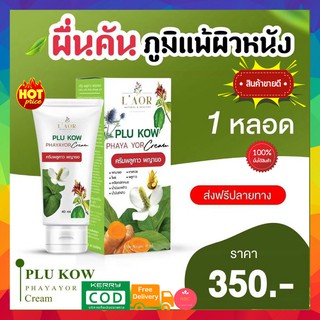 โปร ส่งฟรี!! ครีม​พลูคาว พญา​ยอ​ สมุนไพรแก้แพ้ ชนะปัญหาผิวแพ้ แพ้เหงื่อ กลาก เกลื้อน รังแค สะเก็ดเงิน ลมพิษ ขนาด​ 40 ml.