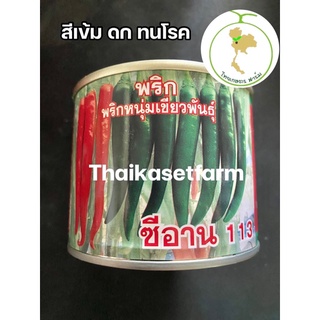 พริกซีอาน113 50กรัม(สีเขียวเข้ม)ส่งโรงงานได้ดีมากทนทานต่อการขนส่ง