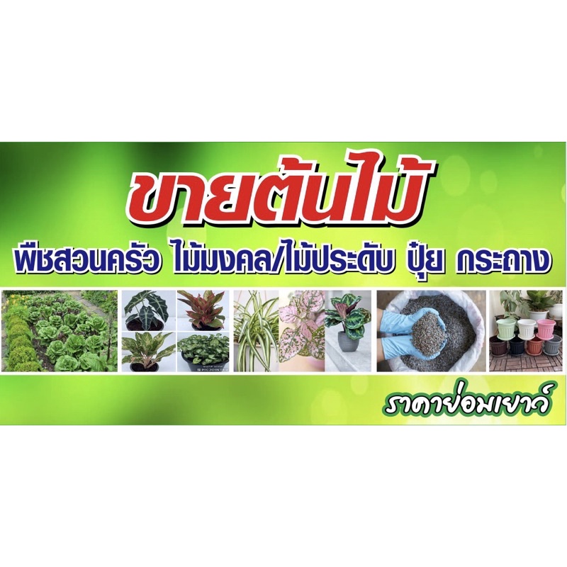 ป้ายขายต้นไม้ ขนาด 100x50 cm เจาะรูแขวนฟรีป้ายไวนิล
