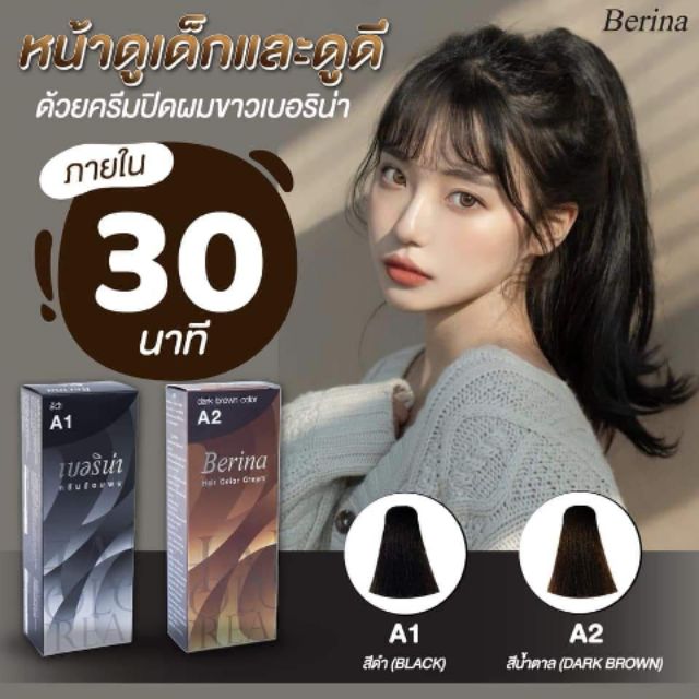 🌚Berina เบอริน่า 🎨น้ำยาย้อมผม
