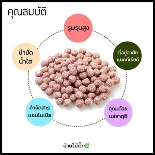 วัสดุกรอง วัสดุกรองเซรามิค มีเดีย Bio Filter / Bio ball พื้นที่ผิวสูงพิเศษ แบ่งขาย ตู้ปลา ตู้ไม้น้ำ | บ้านไม้น้ำ🌿