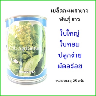 กระเพราขาว ~62,500 เมล็ด กระเพราขาว เมล็ดผักสวนครัว เมล็ดผัก ใบใหญ่ ใบหอม ปลูกง่าย ตราลูกโลก 25 กรัม เมล็ดเยอะ