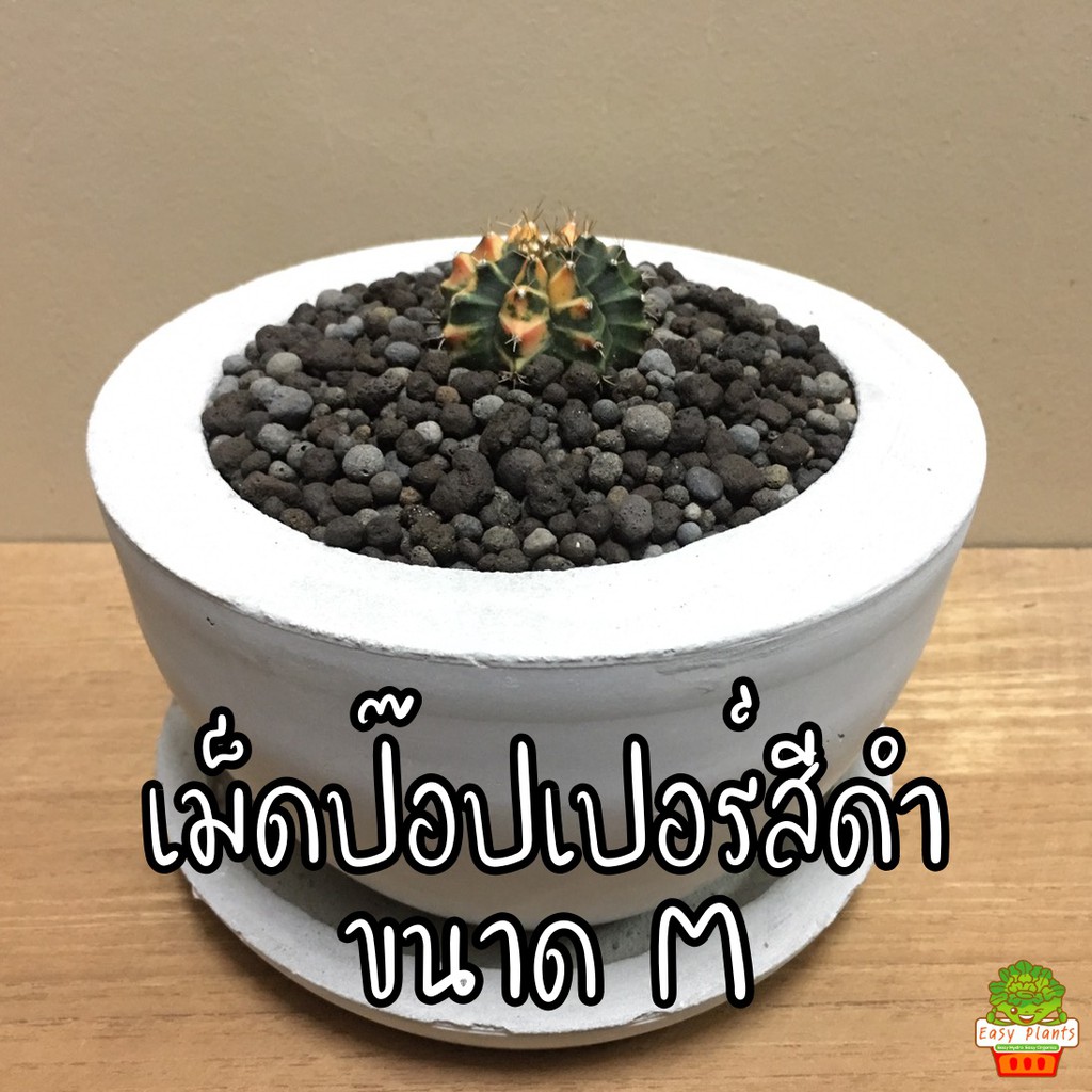 หินดินเผา ป๊อปเปอร์ สีดำ ไซส์ M แบ่งขาย ถุงละ 1 ลิตร