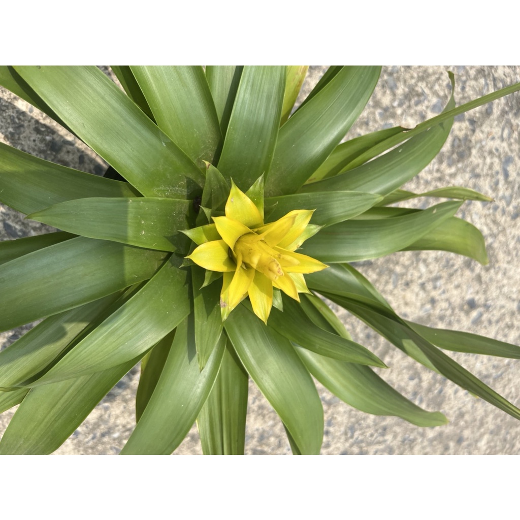 มุมมอง 2