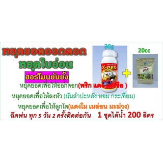 ฮอร์โมนหยุดยอดออกดอก หยุดบ้าใบ หยุดใบอ่อน หยุดใบให้ออกดอก หยุดใบให้ลงหัว หยุดใบให้ลูกโต ชุดคู่ได้น้ำ 200ลิตร 220 บชัวร์💥