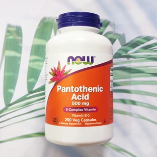 B5 กรดแพนโทเทนิก Pantothenic Acid 500 mg 250 Capsules (Now Foods®) B-5 บำรุงผิว ลดสิว ลดความเครียด เพิ่มการเผาผลาญ #บี5