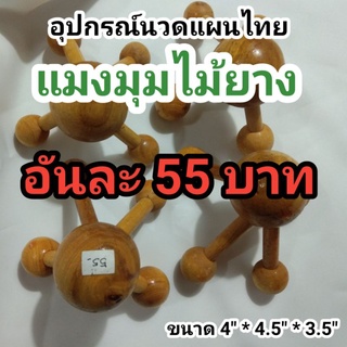 แมงมุมไม้ยาง อุปกรณ์นวดแผนไทย