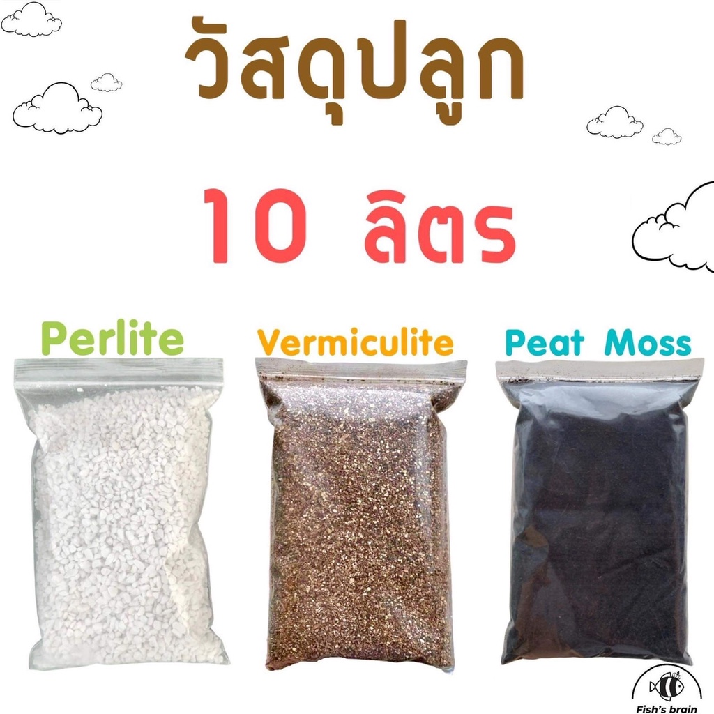 วัสดุปลูก เพอร์ไลท์ เวอร์มิคูไลท์ พีทมอส Perlite Vermiculite Peatmoss วัสดุปลูก เพาะเมล็ด แคคตัส ไม้อวบน้ำ สุดคุ้ม!!!