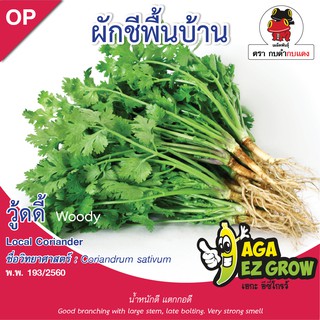 เมล็ดพันธุ์ ผักชีพื้นบ้าน วู้ดดี้ บรรจุ 5 กรัม [โปรโมชั่น ซื้อ10ซอง แถมฟรี 1ซอง]