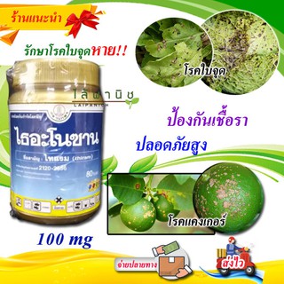 สารรักษาโรคเน่าชื่อไธอะโนซานX100กรัมโรคสแคป โรคราสนิม โรคเน่าดำง่ายต่อการใช้ ต่อพืชดี