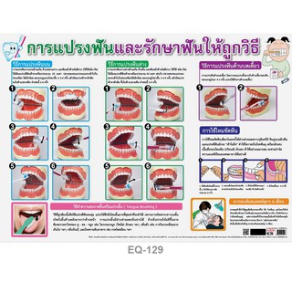 โปสเตอร์เรื่องการแปรงฟันและรักษาฟันให้ถูกวิธี #EQ-129 โปสเตอร์กระดาษ โปสเตอร์สื่อการเรียนการสอน