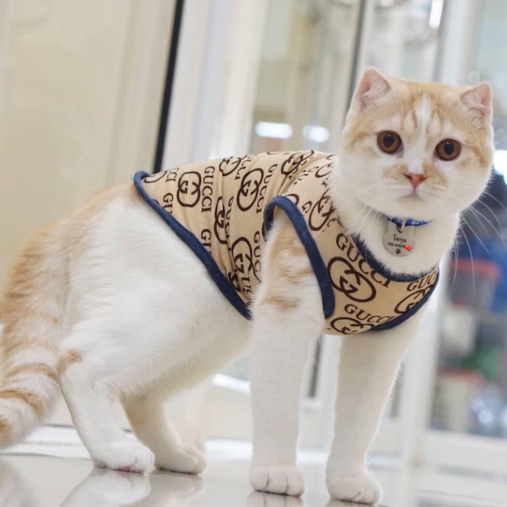 ป้ายชื่อแมว ป้ายชื่อสุนัข ป้ายชื่อสัตว์เลี้ยง สแตนเลสงานพรีเมียม ขนาดเหรียญ10 - รูปที่ 6