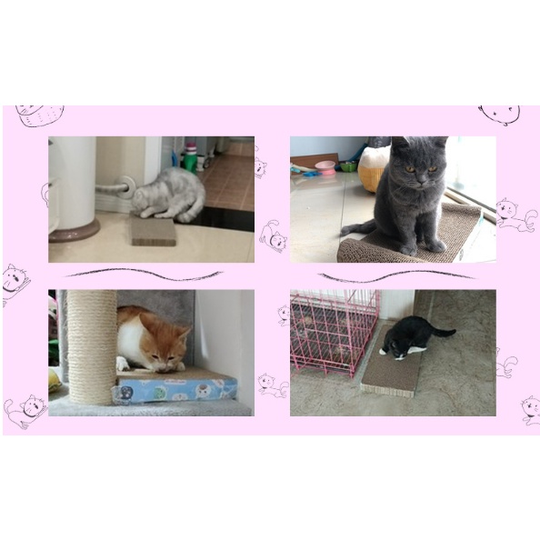 Ming ของเล่นแมว ที่ลับเล็บแมว ที่ฝนเล็บแมว มีหลายแบบให้เลือก ส่งไว - รูปที่ 3