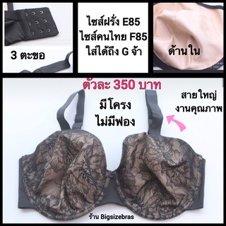 คัพ F-G38/85  เต้าใหญ่ สะใจ