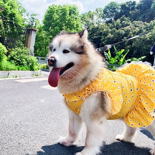 🌻กระโปรงดอกเดซี่🌻 เสื้อน้องหมา เสื้อสุนัข ชุดน้องหมา ชุดสุนัข เสื้อผ้าสุนัขตัวใหญ่ กระโปรงหมา กระโปรงสุนัข เสื้อผ้าแมว เสื้อน้องแมวชุดแมว กระโปรงแมว เสื้อสัตว์เลี้ยง เสื้อผ้าสัตว์เลี้ยง ไซส์ให้เลือก เสื้อผ้าฝ้าย สองสีให้เลือก