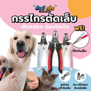 ราคา🔥ที่ตัดเล็บสัตว์เลี้ยง จับถนัดมือแข็งแรง กรรไกรตัดเล็บสุนัข กรรไกรตัดเล็บแมว ที่ตัดเล็บหมา ที่ตัดเล็บแมว