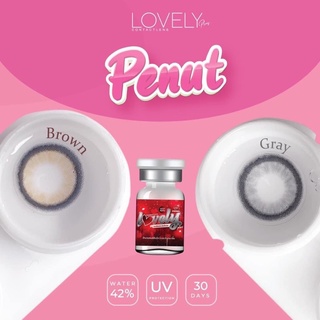 คอนแทคเลนส์ lovely Penut ขนาดกลาง