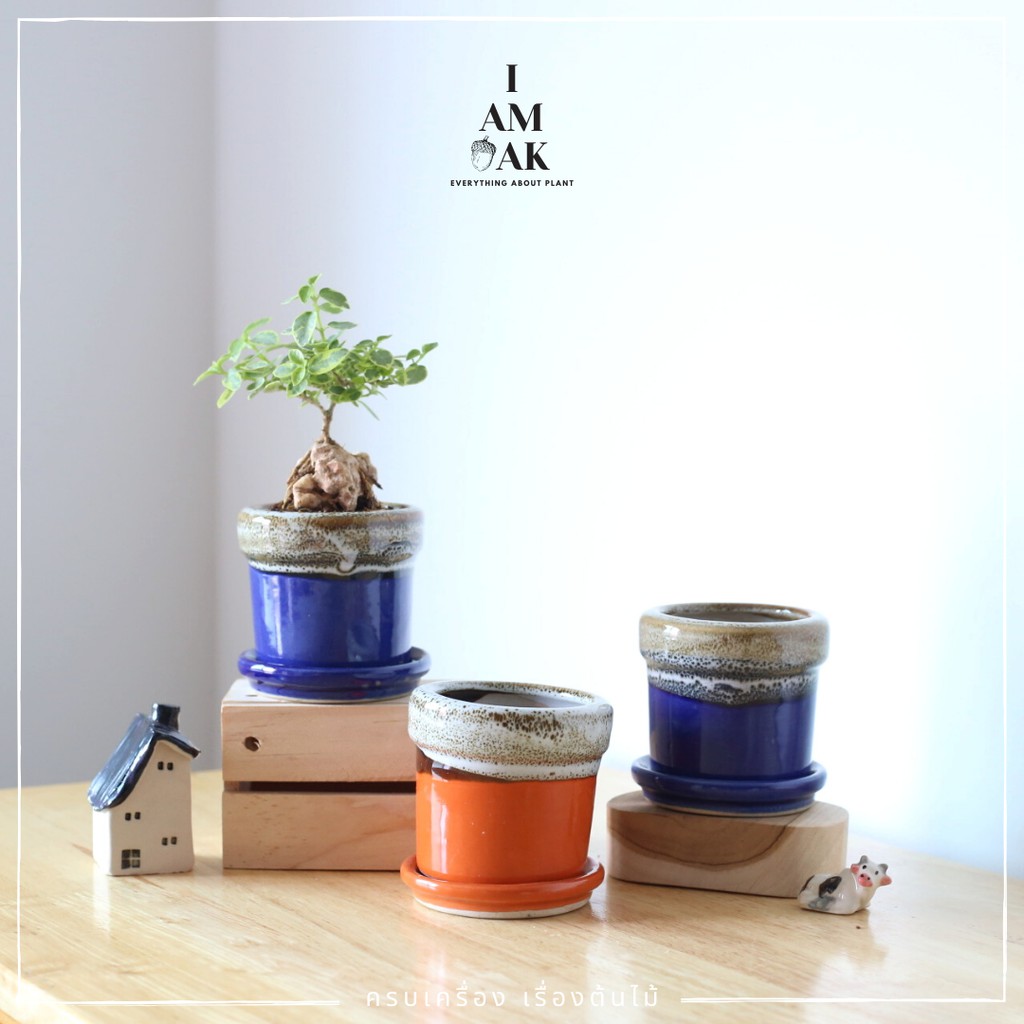 กระถางเซรามิค ปาก 2 นิ้ว ลายลาวา [BY LP]