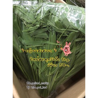 หญ้าขนสด สำหรับสัตว์เลี้ยง