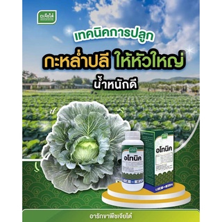 ยกลัง อโทนิค ขนาด 1 ลิตร 12 ขวด