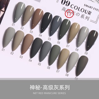 สีเจลยกเซต 9 สี โทนเทา-น้ำตาล AI LA NUO