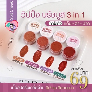 วิปปิ้ง บรัชมูส เม็ดสีแน่น บรัชเนื้อแมท กันน้ำ ทาได้ทั้ง แก้ม ตา ปาก Soft Cheek Lip