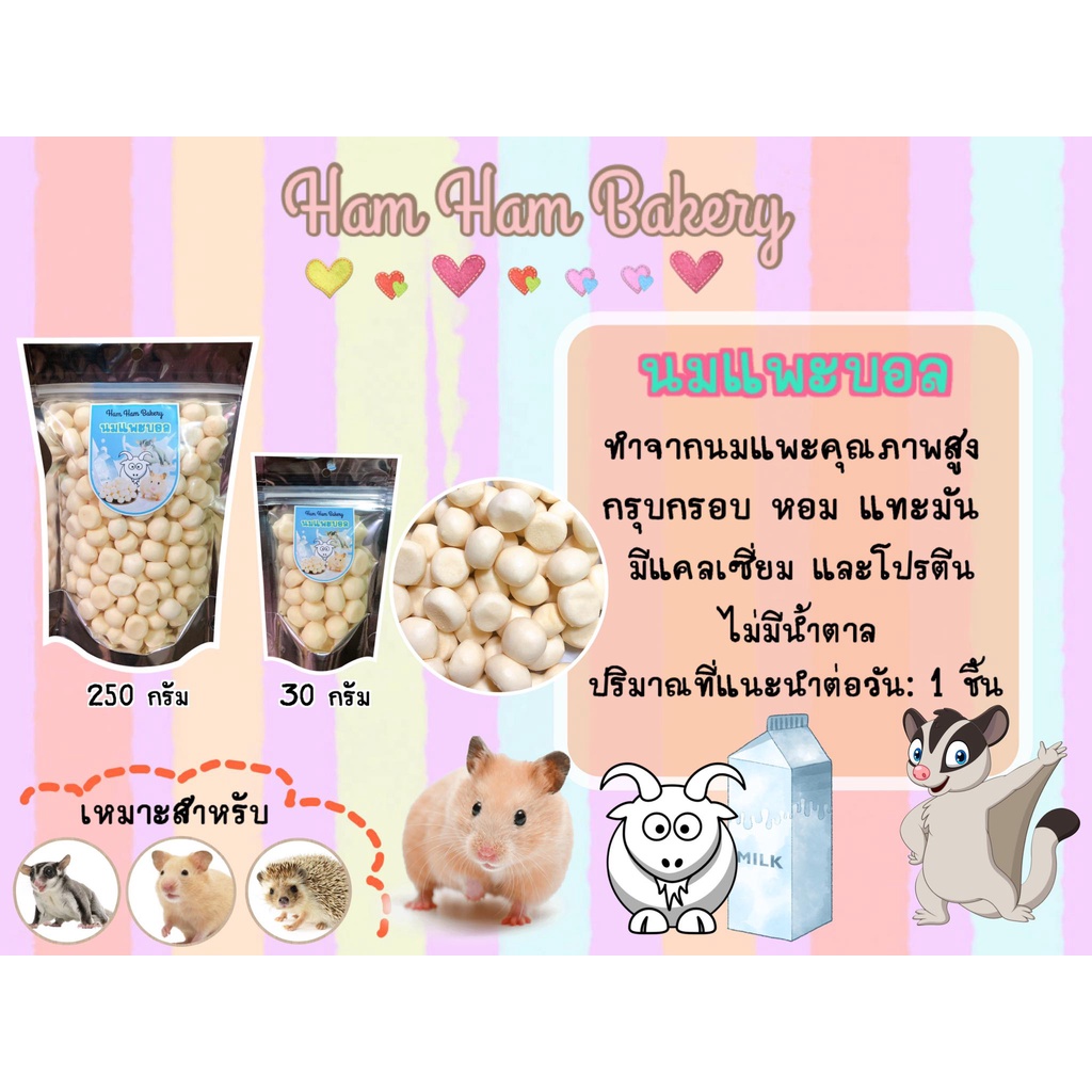 (Ham Ham Bakery) นมเเพะบอล (กะปุกทดลอง) ขนมหนูเเฮมเตอร์ หนูแฮมสเตอร์ กระรอก ชูการ์ เม่นเเคระ เเฟตเทล