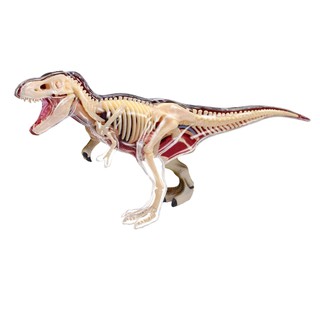 4D Vision หุ่นจำลองไดโนเสาร์ T-Rex 4 มิติ