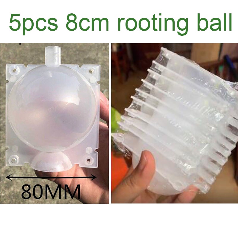 5 ชิ้น 8 เซนติเมตรผลไม้พืชต้นไม้ Rooting Ball แรงดันสูง Breeding Root กล่องพลาสติกโปร่งใส Grafting R