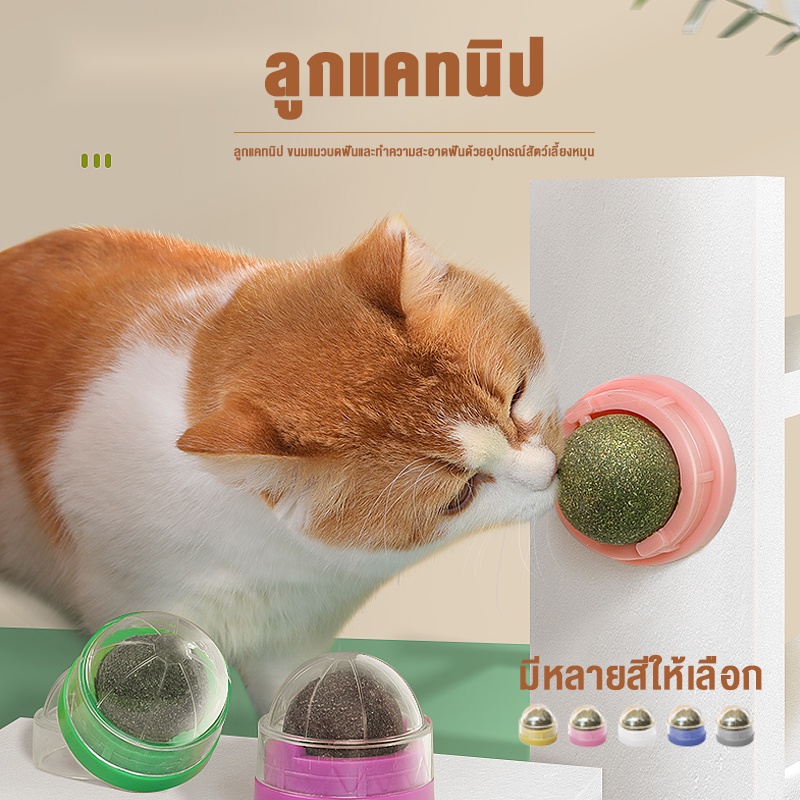petsecret แมวมิ้นท์ลูกขนมขบเคี้ยวของเล่น
