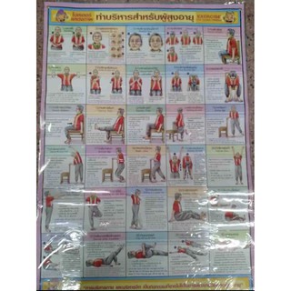 โปสเตอร์แสดงภาพ ท่าบริหารสำหรับผู้สูงอายุ Exercise ขนาด22X32 นิ้ว แผ่นใหญ่ตัวหนังสือชัดเจน