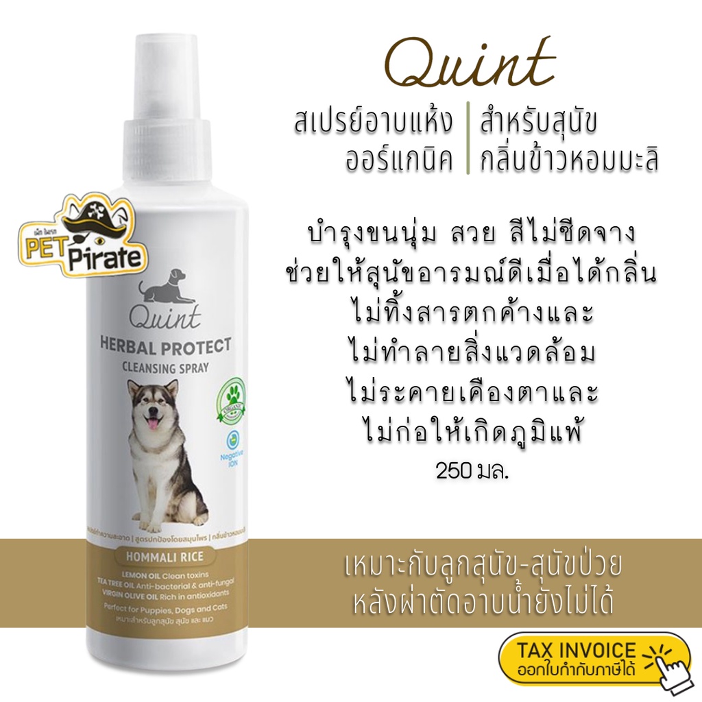 Quint ควินท์ สเปรย์อาบแห้งออร์แกนิค สำหรับสุนัข กลิ่นข้าวหอมมะลิ หอมสดชื่นอารมณ์ดี เหมาะกับลูกสุนัข สุนัขป่วย 250 มล.