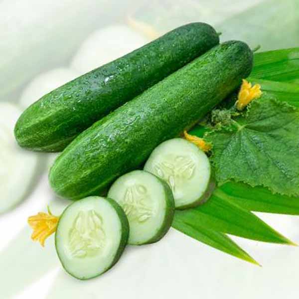 แตงกวาใบเตย ถูกที่สุด10บ. เมล็ดพันธุ์แตงกวาใบเตย5 เมล็ด ☘️หอมใบเตย☘️ปลูกง่ายขึ้นไว ทานอร่อย