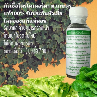 หัวเชื้อราไตรโคเดอร์ม่าแบบผง แท้100% (1ขวด 20 กรัม) ขยายเป็นเชื้อสดได้ประมาณ 15-20 กก. พร้อมคู่มือการขยายด้วยข้าวสุก