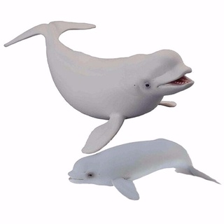 ใหม่ CollectA 88568 88617 Beluga Whale &amp; Calf ชุดอุปกรณ์เสริม สําหรับเล่นกีฬาทางทะเล 2 ชุด