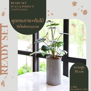 Blissful Set-Monstera ต้นมอนสเตอร่า ชุด เซท เซ็ทพร้อมโชว์ ของตกแต่งบ้าน สุดคุ้ม แจกัน มาพร้อม ต้นไม้ปลอม ราคาต่อ 1 ชุด