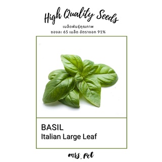 เมล็ดอิตาเลียนเบซิล Italian Large Leaf Basil