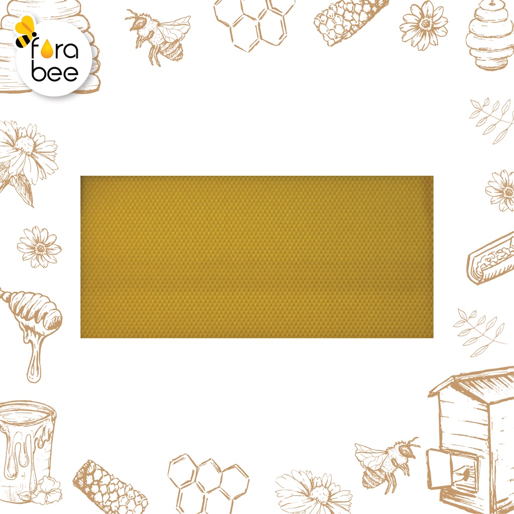 Beeswax Foundation Sheet_แผ่นรังเทียม