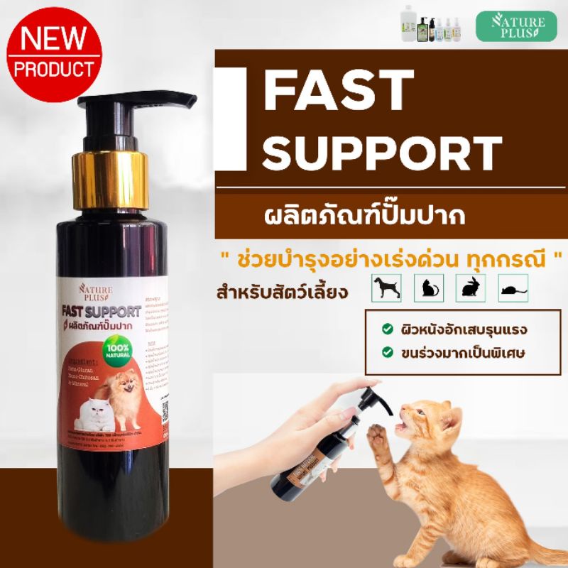 รูปภาพ 3