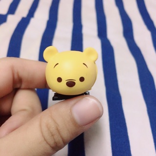 ตัวปิดช่องแฟรชกล้อง POOH