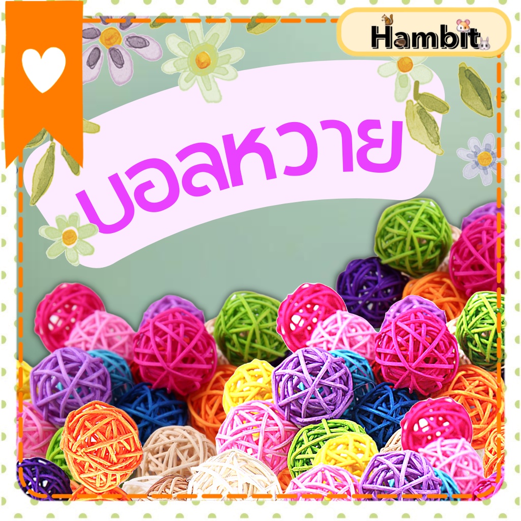 Hambit. บอลหวาย ของเล่นแฮมเตอร์ บอลหวายนกแก้ว