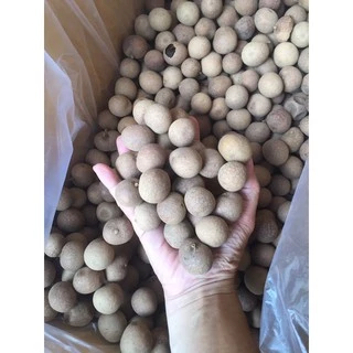 ลำไยอบเปลือก ขนาด 2A , A ถุงละ 1,000 กรัม