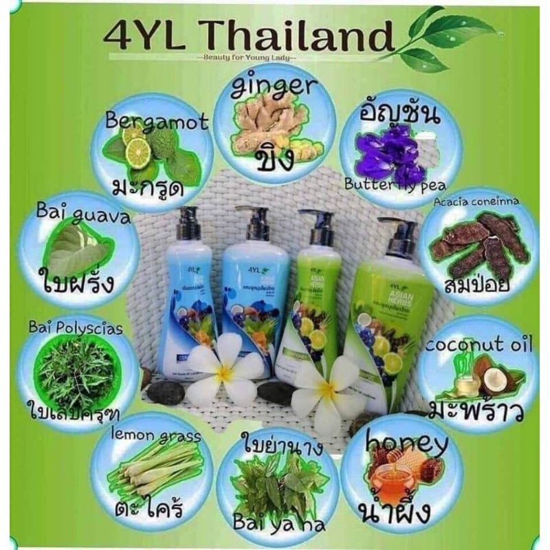 แชมพู&ครีมนวด 4YL ASIAN HERBS
