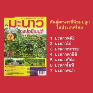 หนังสือเกษตร มะนาววงบ่อซีเมนต์ &amp; ในกระถาง 5 ภาค บังคับนอกฤดู : เรื่องมะนาวที่ควรรู้ หลักการปลูกมะนาวในวงบ่อซีเมนต์