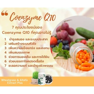 ผักเม็ดเสริมภูมิ Wheatgrass & Alfalfa Extract Plus Q10