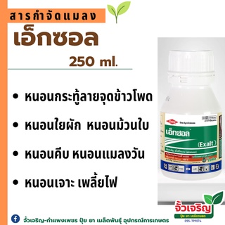 เอ็กซอล 250 ซีซีจุดจบของหนอนร้าย และเพลี้ยไฟดื้อยา